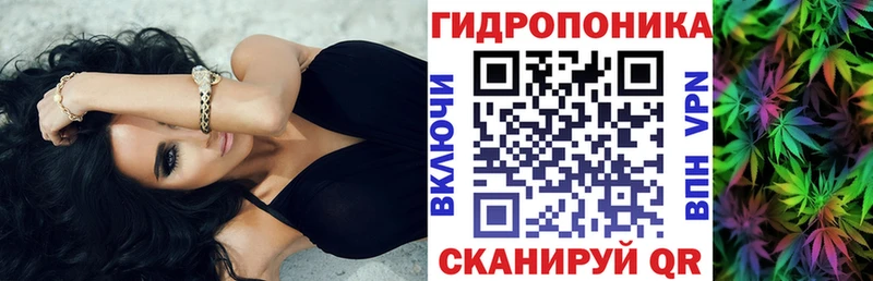 Канабис Bruce Banner Павловский Посад