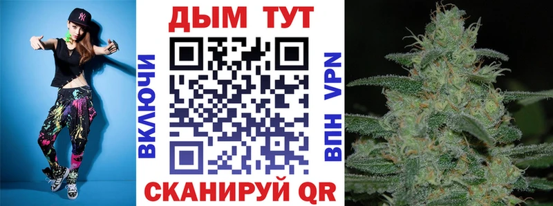 Купить где Павловский Посад Бошки Шишки семена